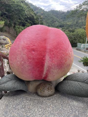 南投竹山建地-9