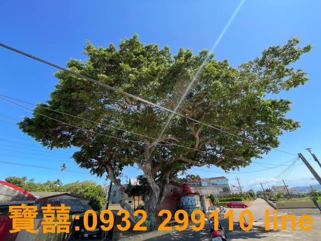 台中后里建地-9